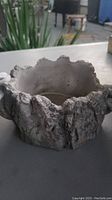 Side view of the gray clay flower pot showing bark-like textured rough surface and irregular rim.