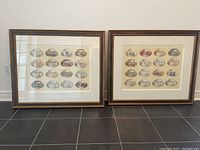Two large framed prints with antique tea cup and saucer illustrations side by side on floor.