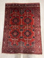 Full view of entire rug laid on floor showing overall pattern and size