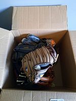 Box containing multiple baseball gloves in various colors and styles.