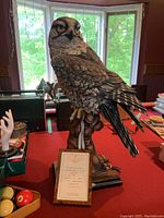 Full front view of porcelain owl figurine on table