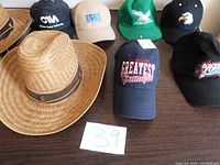 Full assortment of seven hats and caps including a straw hat and themed baseball caps