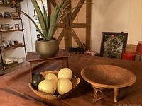 Overall view of faux aloe plant, bark bowl with ostrich eggs, and wooden bowl with legs.
