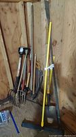 Front view showing the collection of various garden and yard tools leaning against wooden shed wall; includes rakes, shovels, and a saw.