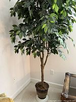 Full view of the Nearly Natural artificial Ficus tree standing about 7 feet tall with lush green leaves and brown trunk in a decorative pot.