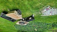 Two beige garden carts, black plant trays, and a black rolling garden cart are arranged on grass with ivy ground cover.