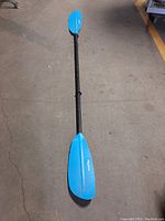 Full view of HydroPro kayak paddle showing length and blade shape