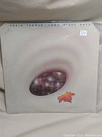 Front cover of the Robin Trower Long Misty Days vinyl album showing artwork with an abstract misty oval and a leaf.