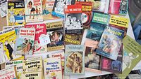 Overview of the collection of books showing various titles including cartoons, art, and fiction