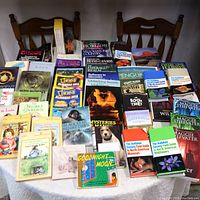 Wide view of entire book collection arranged on two wooden chairs including children's books, novels, and nonfiction.