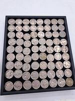 Overview of all 59 Buffalo nickel coins in a tray, showing front-facing Native American profiles and bison designs.