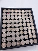 Full tray view showing 74 US Buffalo Nickel coins arranged in rows within a black display case.