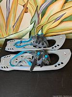 Pair of grey and blue Garneau Neo Trail snowshoes side by side on black surface with a colorful painted background.