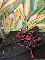 Side view of the black snowshoes with red and black straps, showing pointed tips and tread pattern.