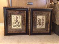 Two framed botanical floral prints displayed side by side on carpet. Each has leopard print fabric matting and dark wood frames with gold trim.