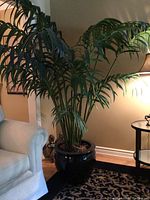 Full view of artificial palm plant in black ceramic pot positioned next to living room furniture