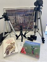 Three tripods, two photography books, Canon digital camera, and framed nature photograph with staining on white border under glass