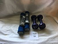 Photo showing set of four weights including two purple dumbbells and two blue wrist weights