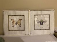 Two framed insect paintings by Jan Cooley, a Swallowtail and a Stink Bug, side by side on a beige wall.