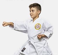 Boy wearing white karate uniform with white belt and BMS Karate School patch on chest, in mid karate pose.