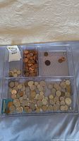 Coins organized in a plastic tray with sections holding pennies and nickels.