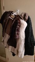 Photo showing all four fur items hanging on door hooks: two fur coats, one fur shawl, and one black textured fur or faux fur coat.