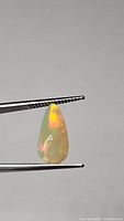 Pear-shaped cabochon untreated Ethiopian opal held in tweezers showing bright orange and yellow flash on translucent base.