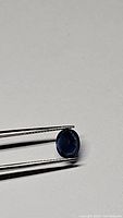 Close-up of deep royal blue oval cut sapphire gemstone held by tweezers under neutral lighting, showing color and faceting details.