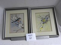 Two framed bird prints with ruler placed for scale in front, showing colorful birds on flowering branches.