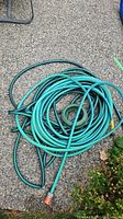 Photo showing two green garden hoses coiled on cement surface with some grass and leaves nearby.