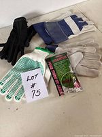 Top view of assorted garden gloves and weed remover tool laid out on a table with a Lot #75 sign.