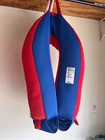 Overall view of the blue and red pool floatie chair hanging, showing its shape and color.