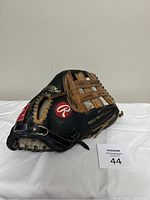 Front side of the Rawlings baseball glove showing logo and Gold Glove branding