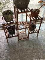 Front view of the solid wood multi-tier plant shelf holding five different potted plants, showing size and shelf spacing.