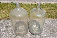 Two clear glass 5-gallon carboys on pavement against grass background, showing front view of both bottles.