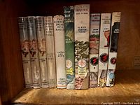 Shelf of 8 antique children's books showing worn dust jackets, titles include Bobbsey Twins series and other vintage children's stories.