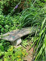 Front view of weathered cement bench partially surrounded by garden plants, showing decorative leg details and patterned edge of seating surface.
