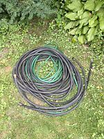 Three garden hoses coiled on grass near plants, showing black and green hoses.