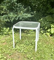Full side view of outdoor table on grass with plants in background