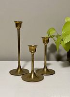 Three brass candlestick holders in varying heights arranged side by side with a plant in the background. Shows shape and relative sizes.