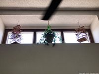 Two vintage bamboo and wicker bird cages and a hanging wicker flower basket suspended from ceiling.