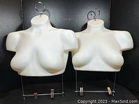 Front view showing two white female torso bust forms with silver hanging rings and lower metal hangers with clips.