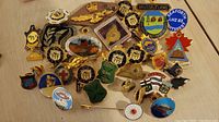 Collection of assorted metal pins and cloth patches arranged on a wooden surface including designs with eagles, lions, and geographic logos