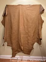 Full view of large irregular tan leather hide hanging on wall, approx 6x6 feet