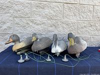 Front side of four floating duck decoys with visible weights and strings.