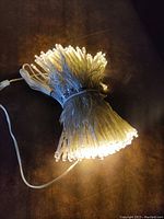 Photo of the bundled clear wire string lights showing the warm white LEDs illuminated at one end.