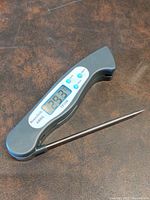 Full view of the digital meat thermometer showing ergonomic gray body and extended stainless steel temperature probe.