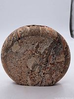 Front view showing the base of the fossilized rock bowl displaying circular fossil patterns and mineral textures.