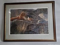 Front view of framed print showing two young cougars resting on rocks and grass, with visible matting and dark wood frame with gold trim.