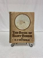 Front cover of the book titled 'The Book of Baby Birds' by E. U. Detmold with a circular illustration of baby birds.